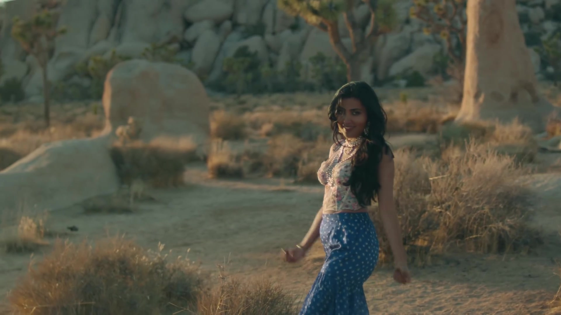 Vidya Vox - Vidya Vox